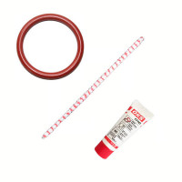 Saeco Reinigungs- Wartungskit für die Saeco Incanto Brühgruppe